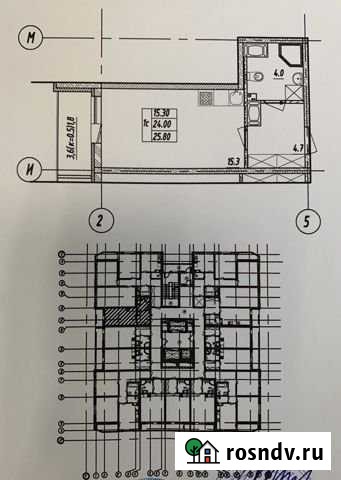 Квартира-студия, 25.8 м², 17/25 эт. на продажу в Пушкине Пушкин - изображение 1