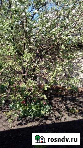 Дача 30 м² на участке 4.4 сот. на продажу в Стерлитамаке Стерлитамак - изображение 1