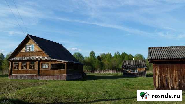 Дом 46 м² на участке 60 сот. на продажу в Спирово Спирово - изображение 1