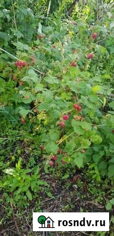 Дача 72 м² на участке 11 сот. на продажу в Нижних Вязовых Нижние Вязовые - изображение 1