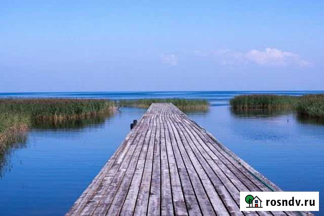 Участок СНТ, ДНП 8 сот. на продажу в Санкт-Петербурге Санкт-Петербург - изображение 1