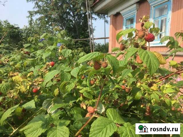 Дом 63.7 м² на участке 48.2 сот. на продажу в Ильинском Пермского края Ильинский - изображение 1