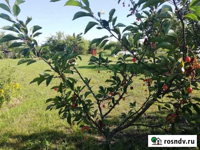 Участок СНТ, ДНП 8 сот. на продажу в Орле Орёл - изображение 1