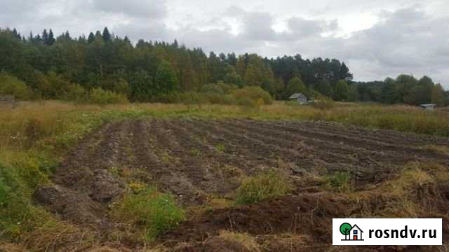 Участок СНТ, ДНП 200 сот. на продажу в Сортавале Сортавала - изображение 1