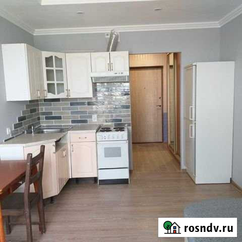 Квартира-студия, 24 м², 7/20 эт. в аренду на длительный срок в Кудрово Кудрово - изображение 1