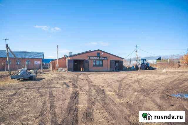 Конюшня,Конезавод, Коровник 5000 кв.м. Самара - изображение 1