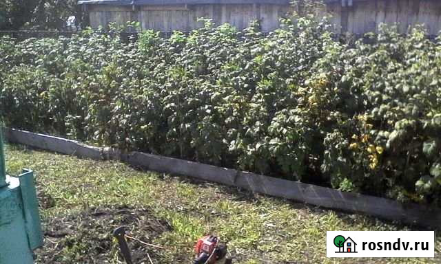 Участок СНТ, ДНП 15 сот. на продажу в Кургане Курган - изображение 1