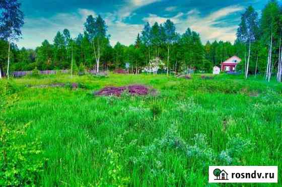 Участок ИЖС 14 сот. на продажу в Бору Бор