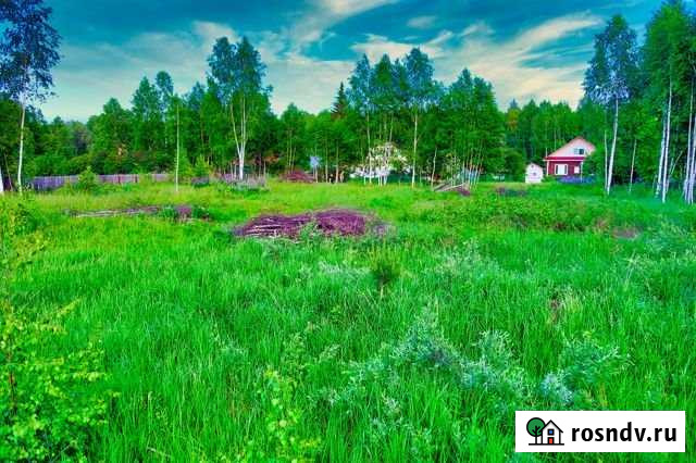 Участок ИЖС 14 сот. на продажу в Бору Бор - изображение 1