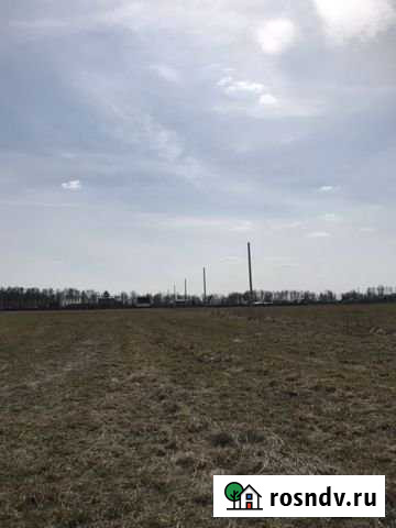 Участок ИЖС 12 сот. на продажу в Петушках Петушки - изображение 1