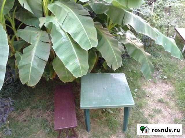 Квартира-студия, 38 м², 2/2 эт. в аренду посуточно в Сочи Сочи - изображение 1