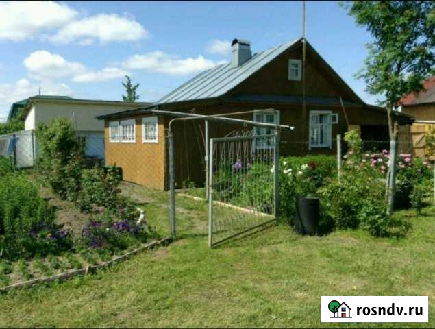 Участок СНТ, ДНП 15 сот. на продажу в Русско-Высоцком Русско-Высоцкое - изображение 1