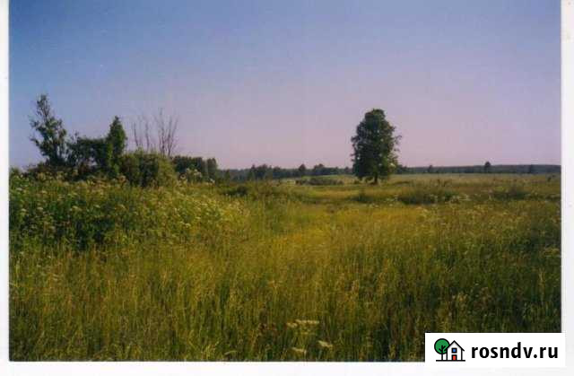 Участок СНТ, ДНП 40 сот. на продажу в Новодугино Новодугино - изображение 1