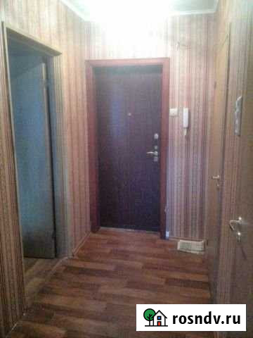 1-комнатная квартира, 33 м², 2/5 эт. в аренду на длительный срок в Великих Луках Великие Луки - изображение 1