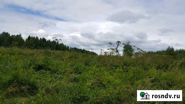 Участок СНТ, ДНП 440 сот. на продажу в Кукуштане Кукуштан - изображение 1