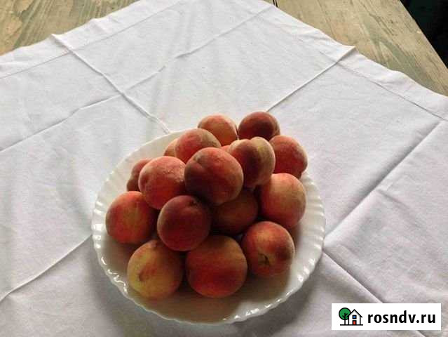 Участок СНТ, ДНП 10 сот. на продажу в Астрахани Астрахань - изображение 1