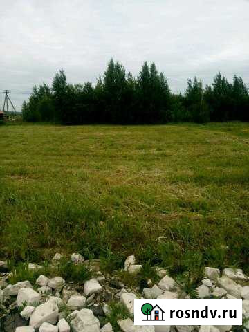 Участок ИЖС 20 сот. на продажу в Буревестнике Буревестник - изображение 1