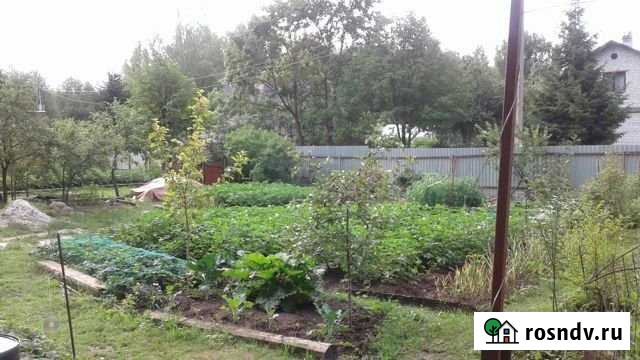 Участок СНТ, ДНП 9 сот. на продажу в Никольском Ленинградской области Никольское - изображение 1