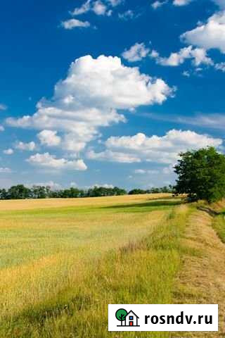 Участок СНТ, ДНП 682 сот. на продажу в Ленинском Ленинский - изображение 1