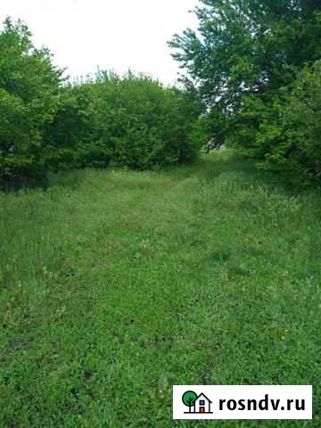 Участок СНТ, ДНП 6 сот. на продажу в Разумном Разумное - изображение 1