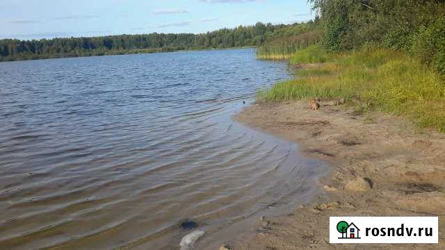 Участок ИЖС 10 сот. на продажу в Петушках Петушки - изображение 1