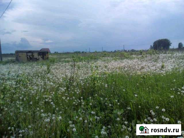 Участок СНТ, ДНП 12 сот. на продажу в Новоалтайске Новоалтайск - изображение 1