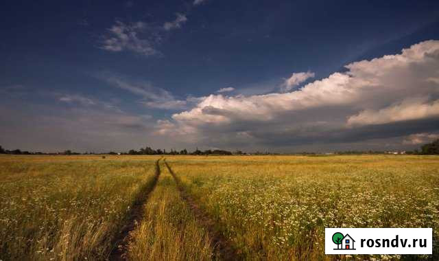 Участок СНТ, ДНП 700 сот. на продажу в Новокузнецке Новокузнецк - изображение 1