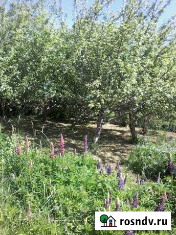 Дача 48.4 м² на участке 8 сот. на продажу в Михнево Михнево - изображение 1