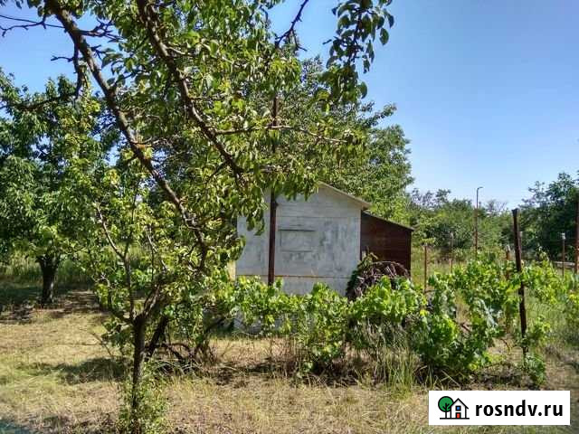 Дача 20 м² на участке 6 сот. на продажу в Новобессергеневке Новобессергеневка - изображение 1