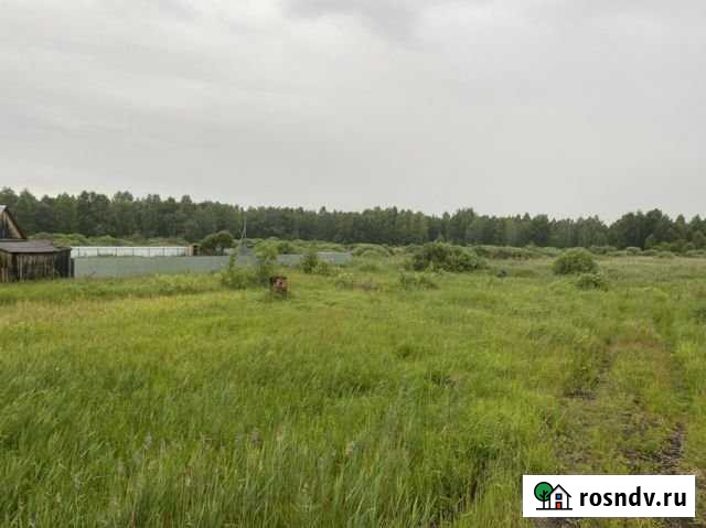 Участок СНТ, ДНП 8 сот. на продажу в Тюмени Тюмень - изображение 1