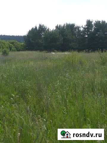 Участок СНТ, ДНП 12 сот. на продажу в Нижнекамске Нижнекамск - изображение 1