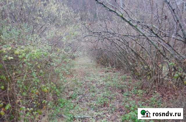 Участок СНТ, ДНП 5 сот. на продажу в Сочи Сочи - изображение 1