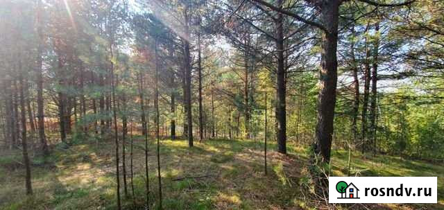 Участок ИЖС 23 сот. на продажу в Санкт-Петербурге Санкт-Петербург - изображение 1