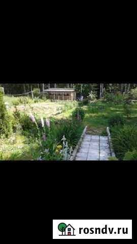 Дача 20 м² на участке 9 сот. на продажу в Петушках Петушки - изображение 1