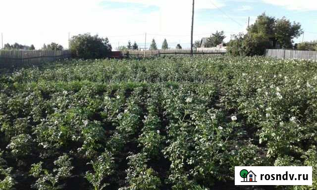 Участок СНТ, ДНП 8 сот. на продажу в Красноярске Красноярск - изображение 1