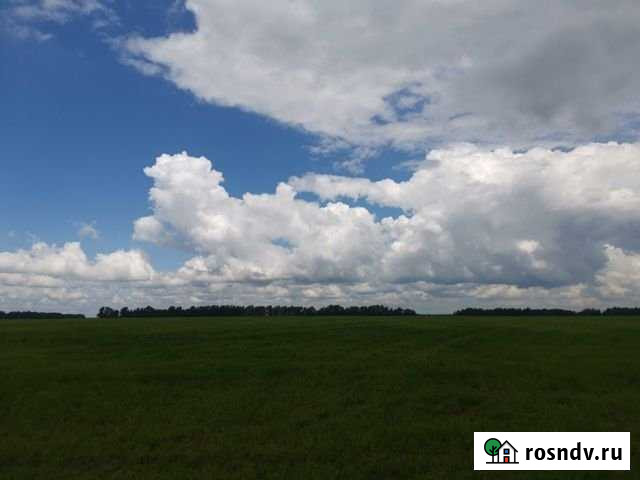 Участок СНТ, ДНП 1700 сот. на продажу в Ясногорске Тульской области Ясногорск - изображение 1