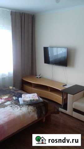 1-комнатная квартира, 43 м², 17/17 эт. в аренду посуточно в Сургуте Ханты-Мансийского АО Сургут - изображение 1