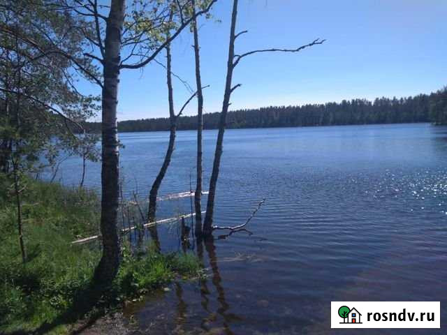 Участок ИЖС 10 сот. на продажу в Первомайском Ленинградской области Первомайское - изображение 1