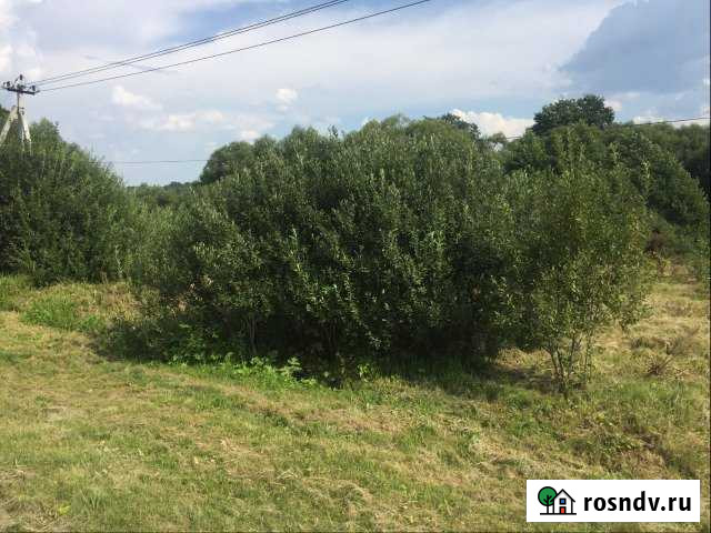 Участок ИЖС 100 сот. на продажу в Подольске Подольск - изображение 1