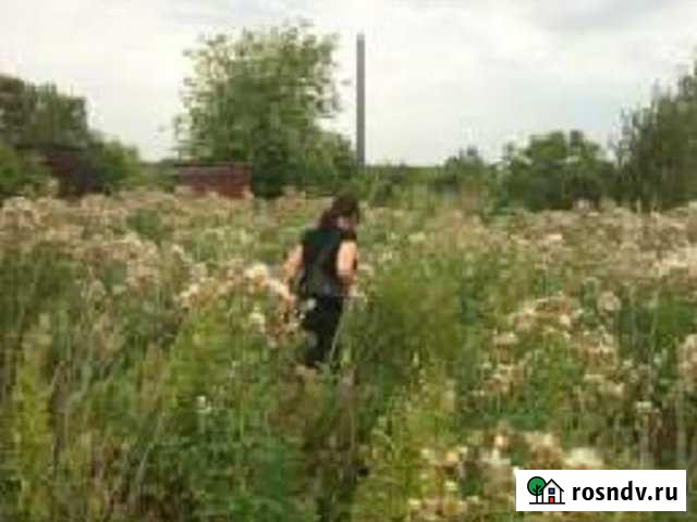 Участок ИЖС 10 сот. на продажу в Ленинске-Кузнецком Ленинск-Кузнецкий - изображение 1