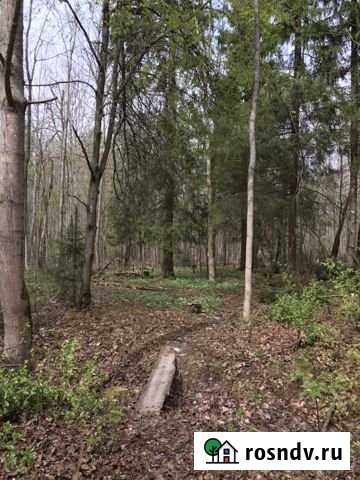 Участок СНТ, ДНП 104 сот. на продажу в Красной Долине Красная Долина - изображение 1