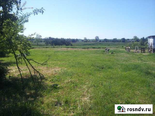 Участок ИЖС 41 сот. на продажу в Александровской Александровская - изображение 1