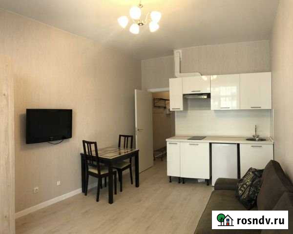 Квартира-студия, 25 м², 12/24 эт. в аренду посуточно в Санкт-Петербурге Санкт-Петербург - изображение 1