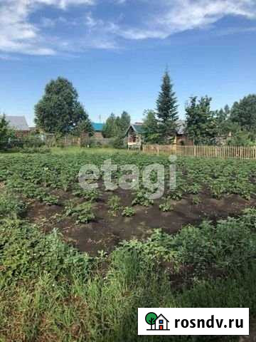 Участок СНТ, ДНП 6 сот. на продажу в Верху-Ирмене Верх-Ирмень - изображение 1