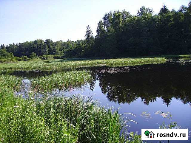 Дом 42 м² на участке 10 сот. в аренду посуточно в Осташкове Осташков - изображение 1