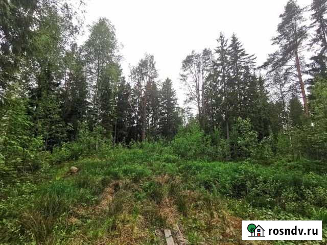 Участок ИЖС 33 сот. на продажу в Сертолово Сертолово - изображение 1