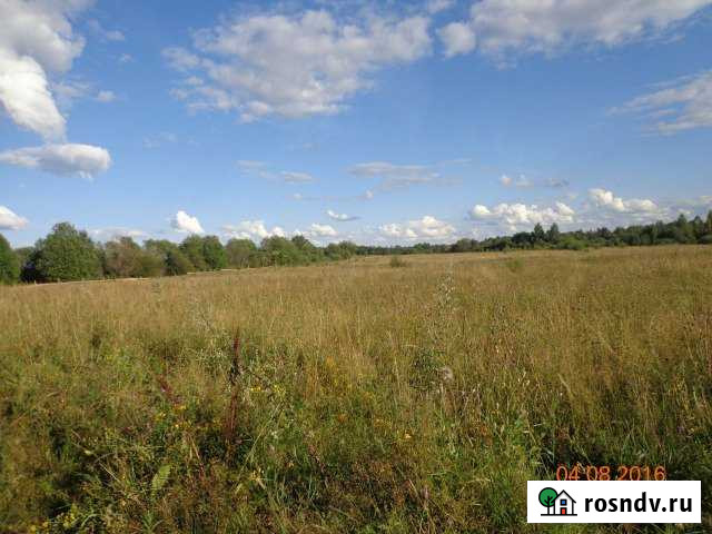 Участок СНТ, ДНП 454 сот. на продажу в Боровичах Боровичи - изображение 1