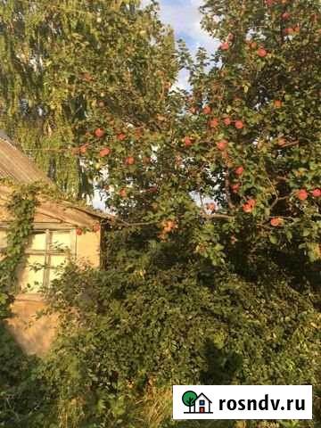 Участок СНТ, ДНП 5 сот. на продажу в Тольятти Тольятти - изображение 1