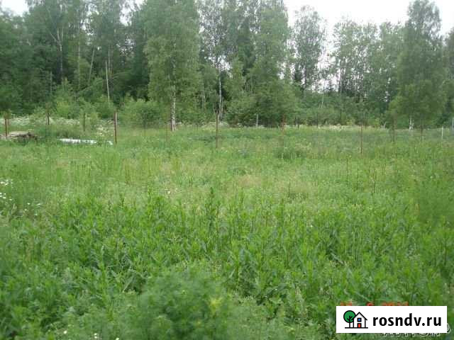 Участок ИЖС 25 сот. на продажу в Александрове Александров - изображение 1