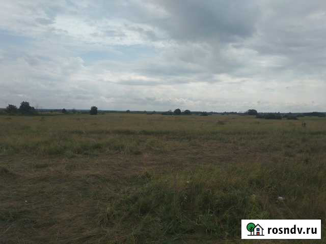 Участок СНТ, ДНП 6700 сот. на продажу в Шацке Шацк - изображение 1